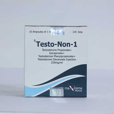 Buy Sustanon 250 (Testosterone mix) with fast shipping in USA | Testo-Non-1 at a low price at firesafetysystemsfl.com