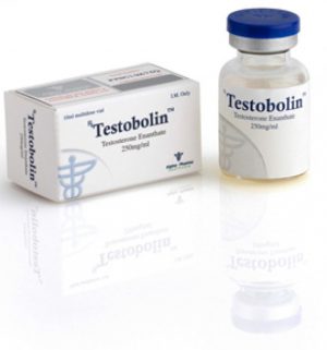 Buy Testosterone enanthate with fast shipping in USA | Testobolin (vial) at a low price at firesafetysystemsfl.com