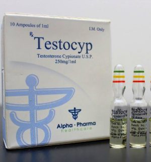 Buy Testosterone cypionate with fast shipping in USA | Testocyp at a low price at firesafetysystemsfl.com