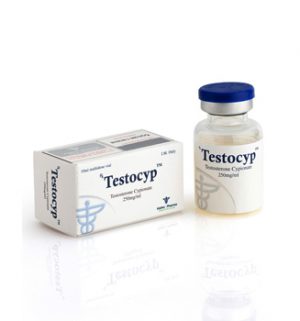 Buy Testosterone cypionate with fast shipping in USA | Testocyp vial at a low price at firesafetysystemsfl.com
