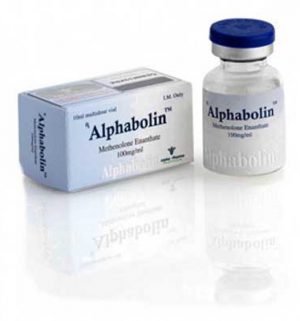 Buy Methenolone enanthate (Primobolan depot) with fast shipping in USA | Alphabolin (vial) at a low price at firesafetysystemsfl.com