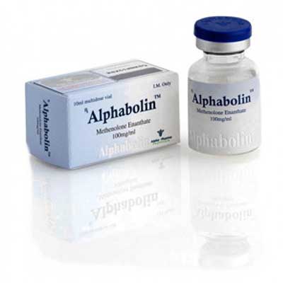 Buy Methenolone enanthate (Primobolan depot) with fast shipping in USA | Alphabolin (vial) at a low price at firesafetysystemsfl.com