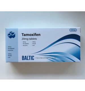 Buy Tamoxifen citrate (Nolvadex) with fast shipping in USA | Tamoxifen 40 at a low price at firesafetysystemsfl.com