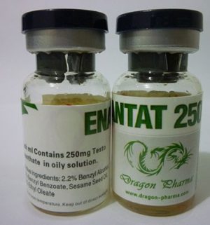 Buy Testosterone enanthate with fast shipping in USA | Enanthat 250 at a low price at firesafetysystemsfl.com