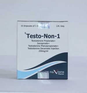 Buy Sustanon 250 (Testosterone mix) with fast shipping in USA | Testo-Non-1 at a low price at firesafetysystemsfl.com