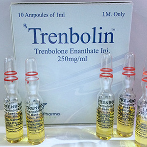 Buy Trenbolone enanthate with fast shipping in USA | Trenbolin (ampoules) at a low price at firesafetysystemsfl.com