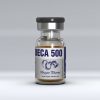 Buy Nandrolone decanoate (Deca) with fast shipping in USA | Deca 500 at a low price at firesafetysystemsfl.com