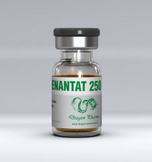 Buy Testosterone enanthate with fast shipping in USA | Enanthate 400 at a low price at firesafetysystemsfl.com
